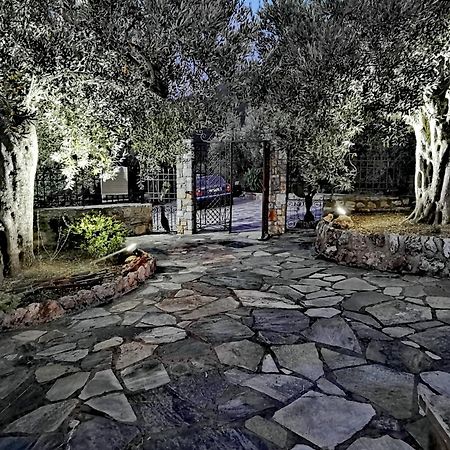 Villa Elaion Thea-Nies Sourpi Esterno foto