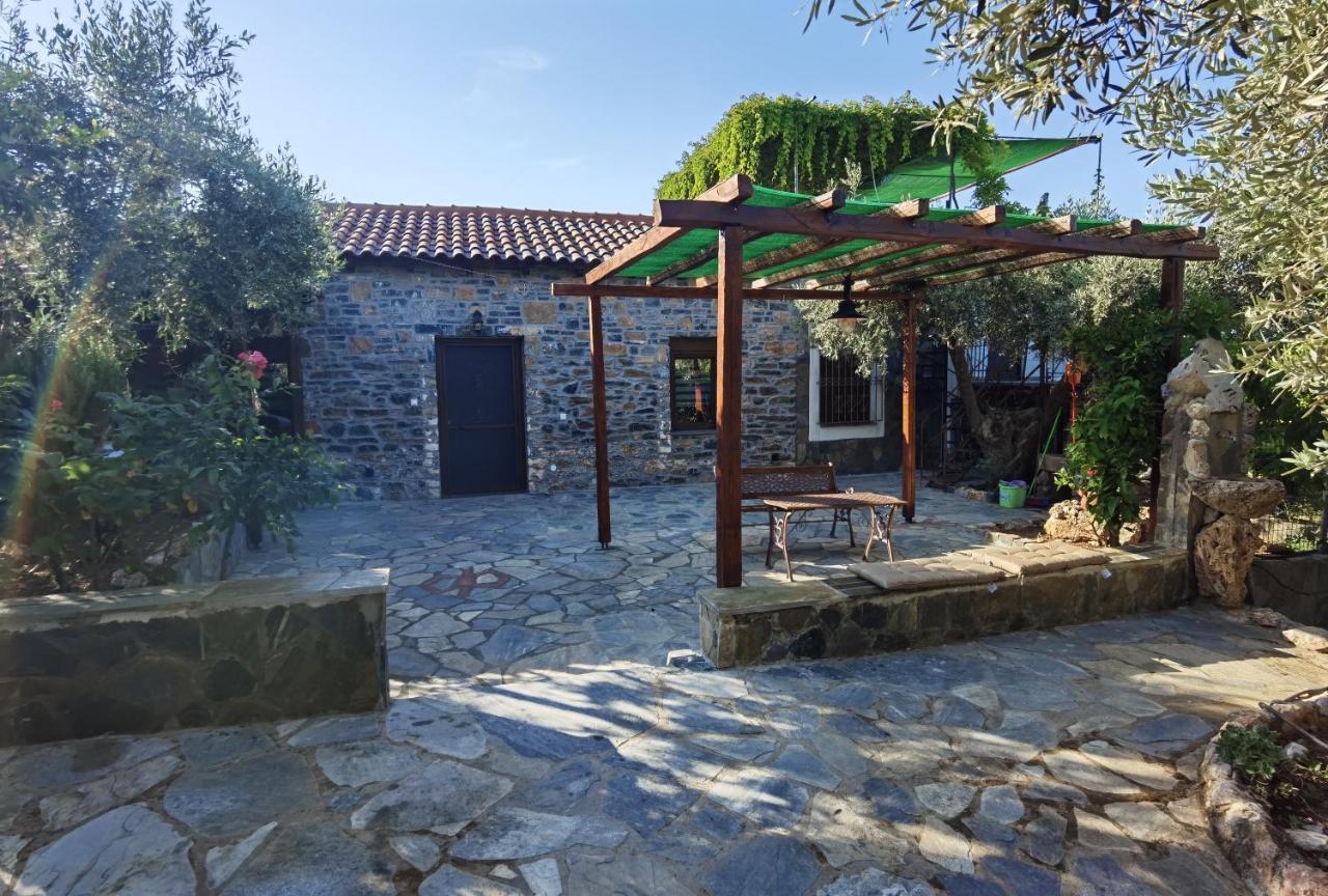 Villa Elaion Thea-Nies Sourpi Esterno foto