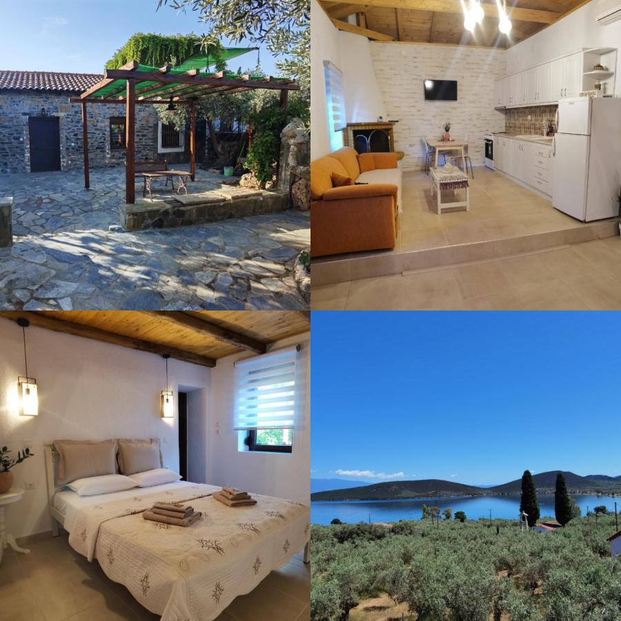 Villa Elaion Thea-Nies Sourpi Esterno foto