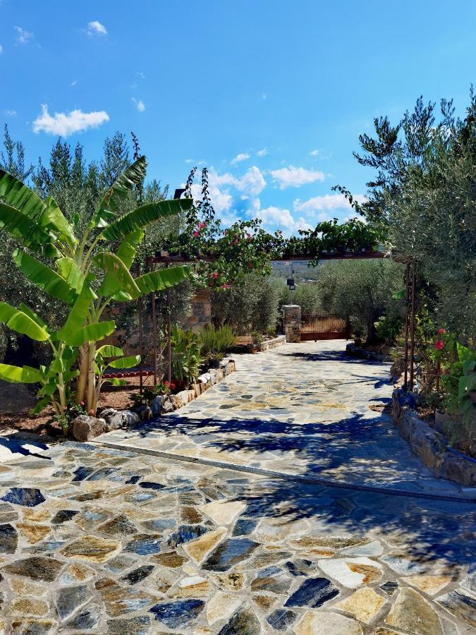 Villa Elaion Thea-Nies Sourpi Esterno foto