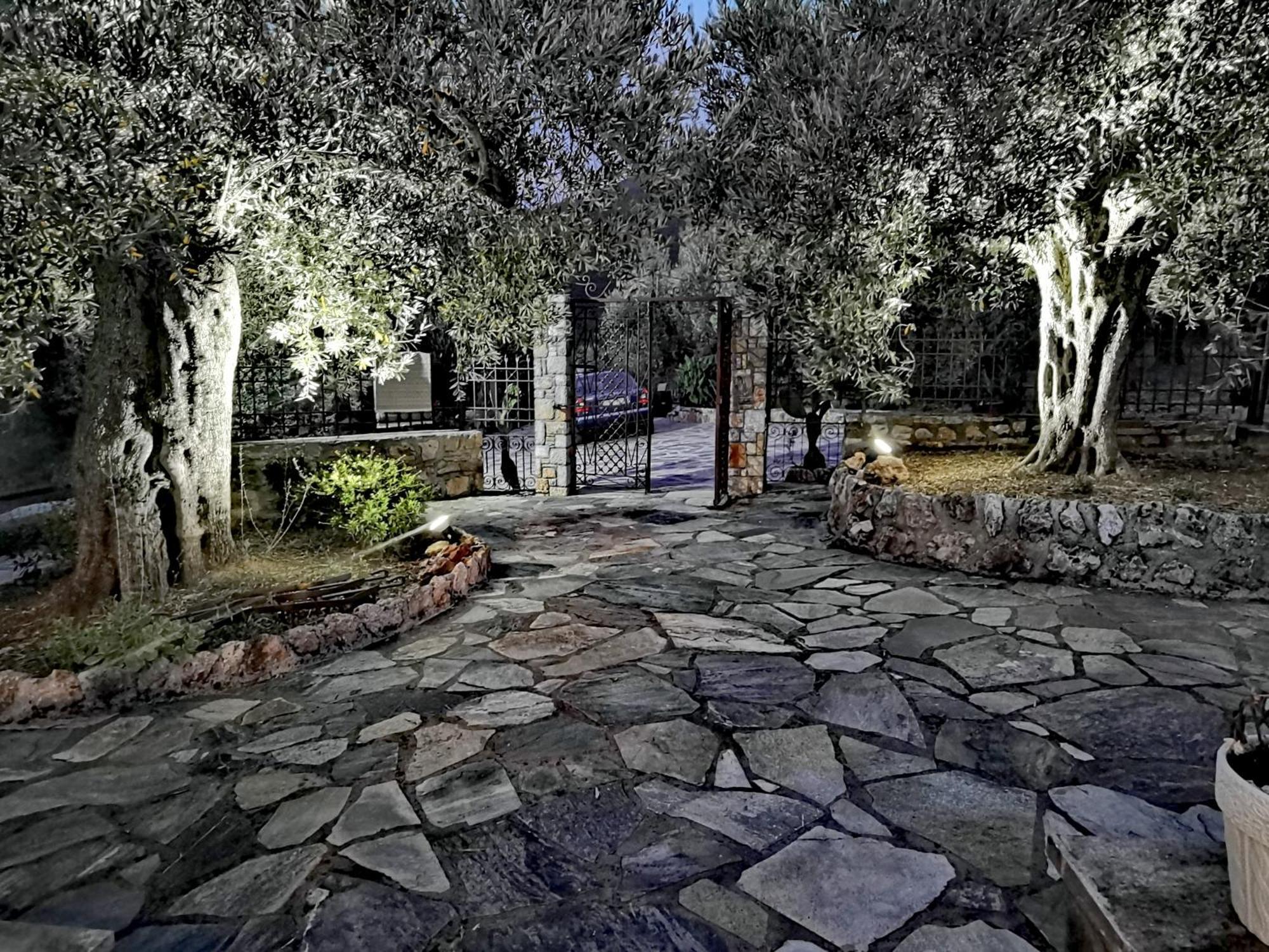 Villa Elaion Thea-Nies Sourpi Esterno foto